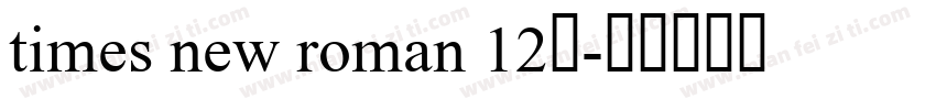 times new roman 12号字体转换